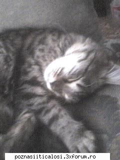 Discutzii - )).tare...kiar mishto erau. a fost tare..who - Barfe&Discutzii