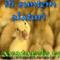 Discutzii - mingea mea salvatoare:)))) ce m-as fi facut fara - Barfe&Discutzii