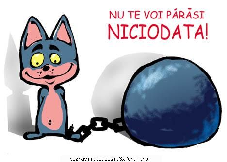 Fotbal... - da mai..uite aicia eu apreciez...ca eshti - Sport