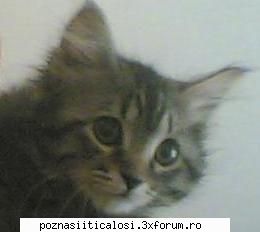 Poze - ))))))))))) maa...avetzi ceva cu - Hobby-uri