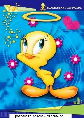 Poze - Pisicile sunt rele !!! Pasaricile nu !!! - Hobby-uri
