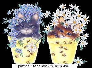 Poze - kinder's_lil'sis - Hobby-uri